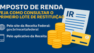 quando vou receber imposto de renda 2025